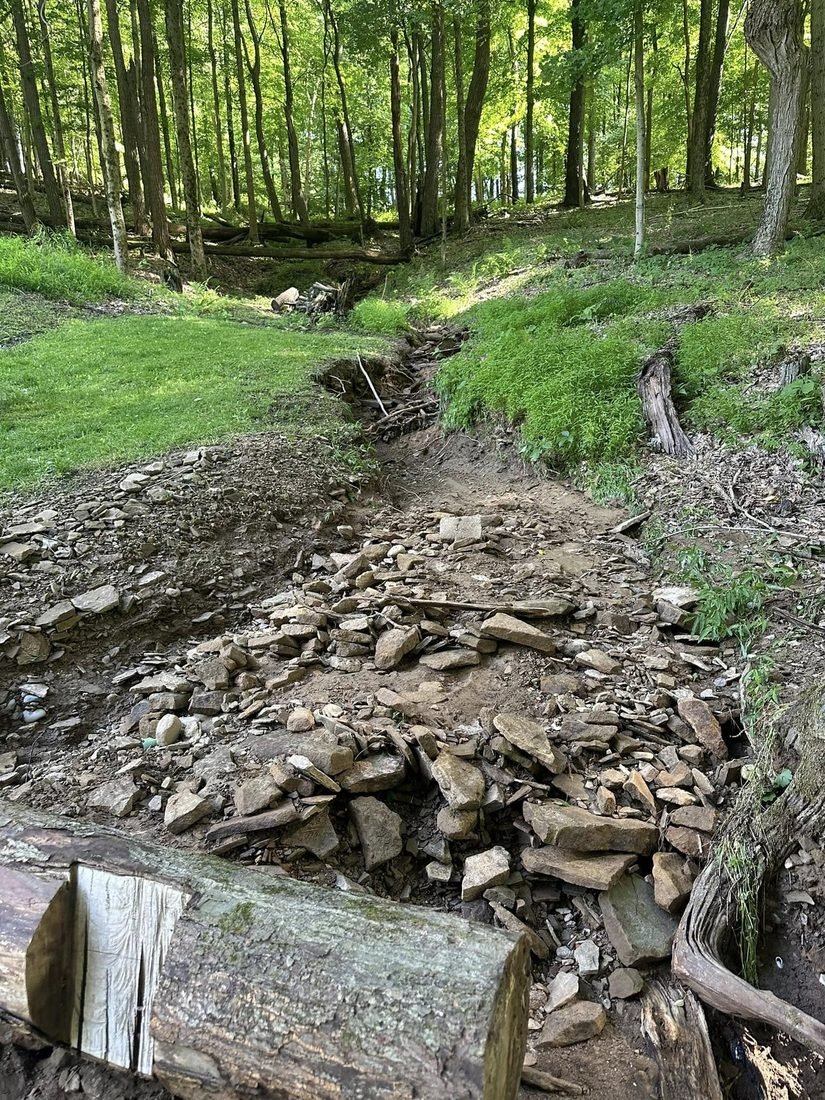 Deep eroded gully full of loose shale cutting down a wooded hillside toward a yard