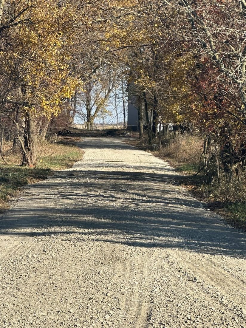 Long finished gravel lane running between fall-colored trees toward a barn at the far end